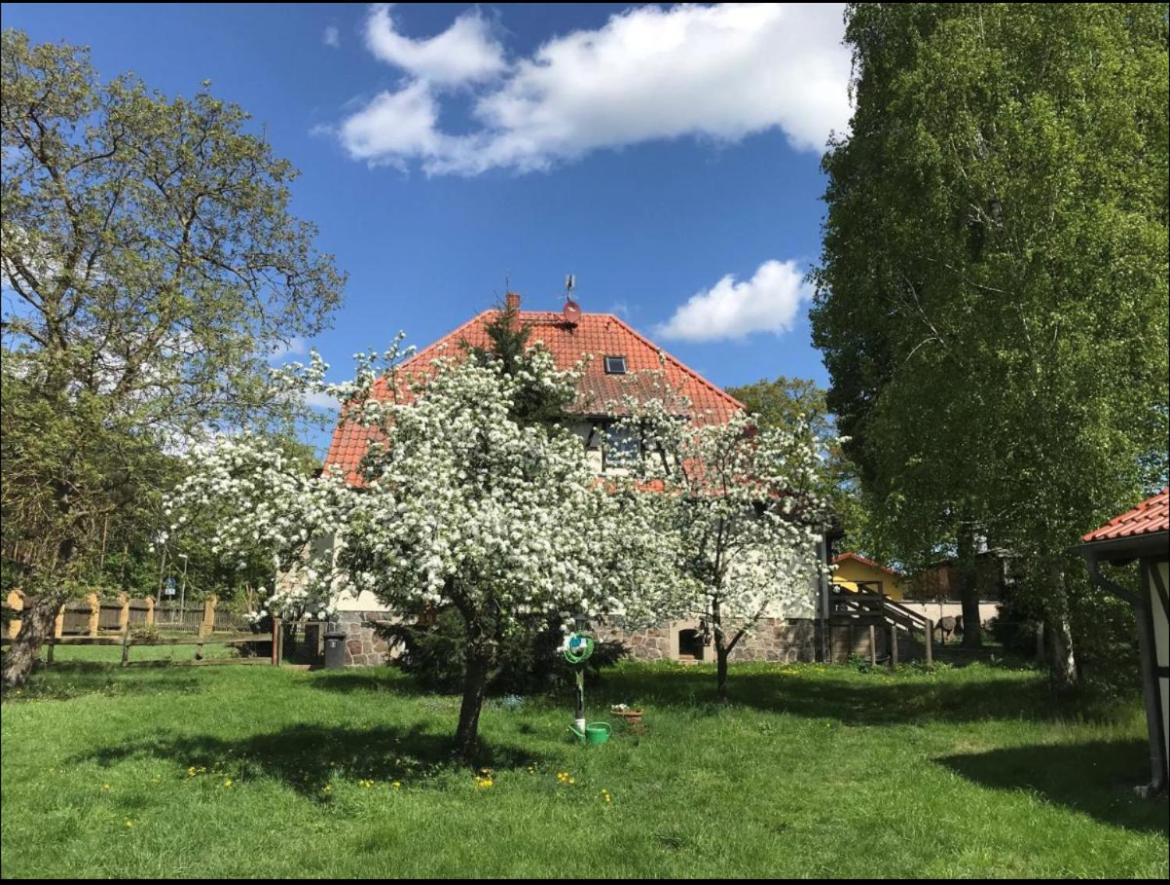 Hof Lillge Apartment Schorfheide Luaran gambar