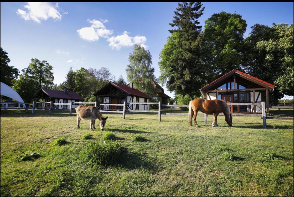 Hof Lillge Apartment Schorfheide Luaran gambar